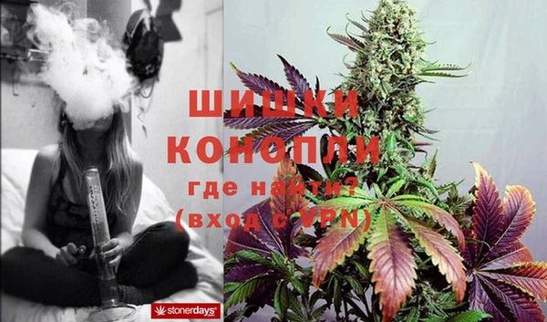 бошки Белокуриха