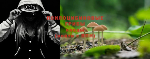 трава Белоозёрский
